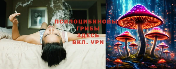 прущие грибы Баксан
