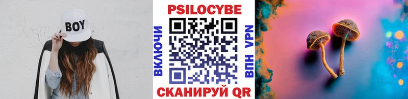 Псилоцибиновые грибы мицелий  ссылка на мегу tor  Усть-Кут 